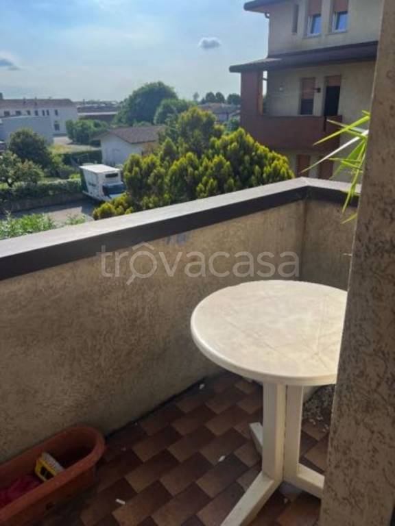 immagine annuncio 3 di 14