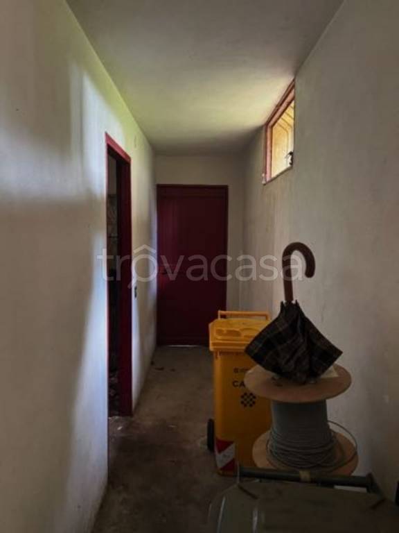 immagine annuncio 7 di 14