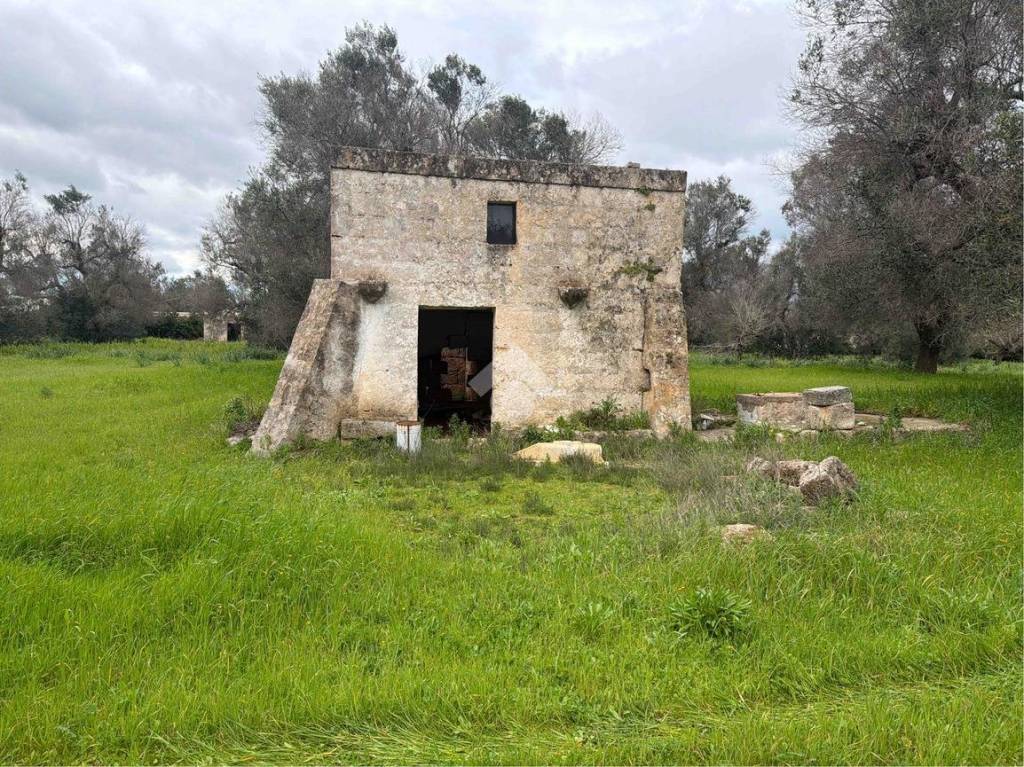 immagine annuncio 2 di 12