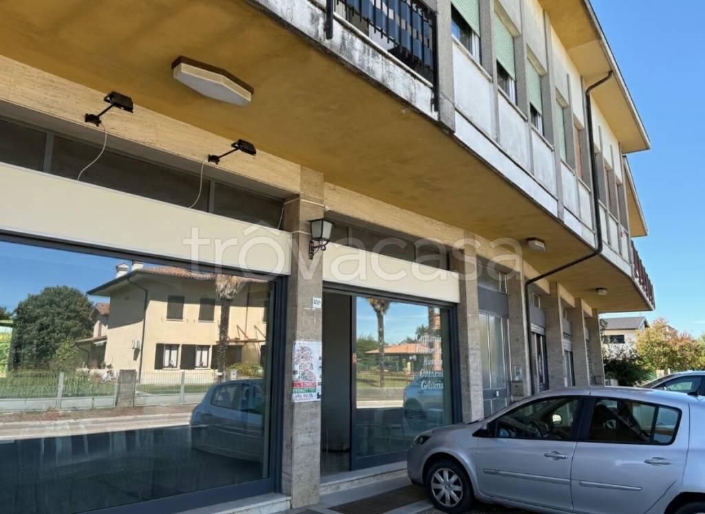 immagine annuncio 10 di 13