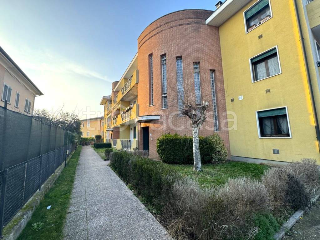 immagine annuncio 7 di 15