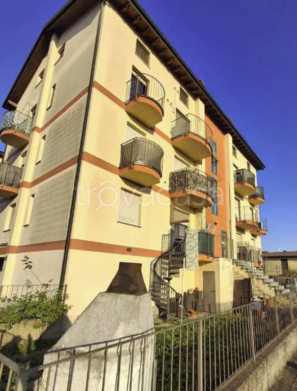 immagine annuncio 5 di 12