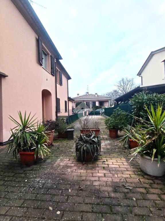 immagine annuncio 12 di 14