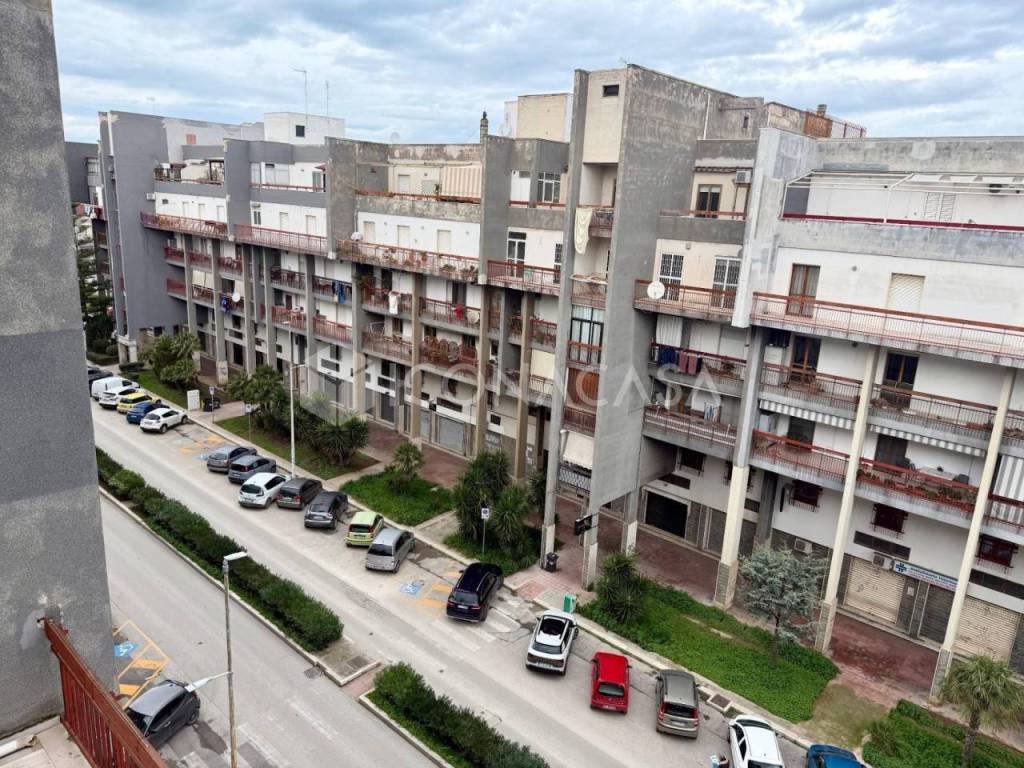 immagine annuncio 4 di 11