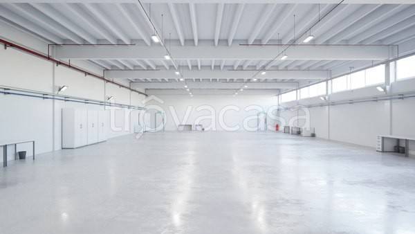 immagine annuncio 2 di 3