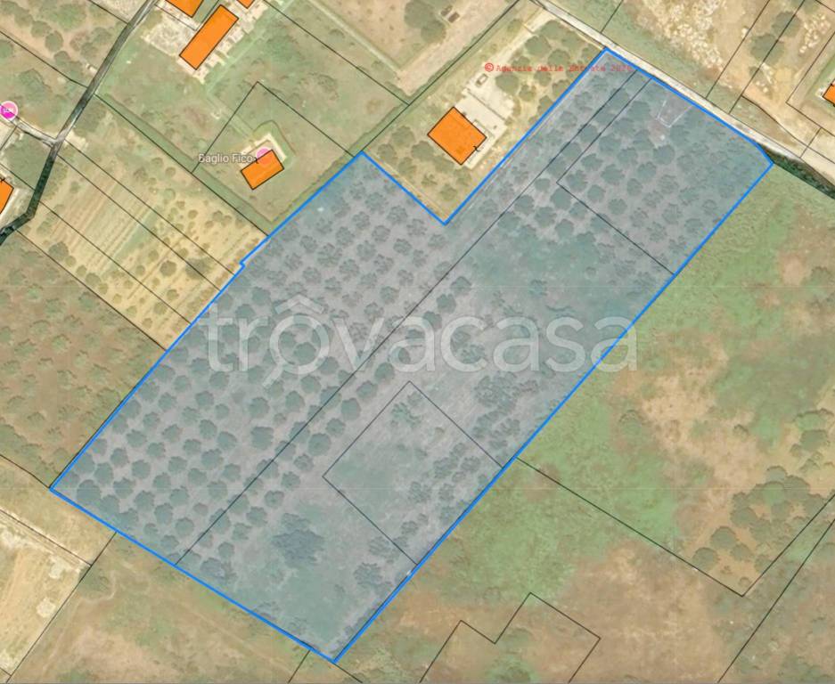 immagine annuncio 2 di 12