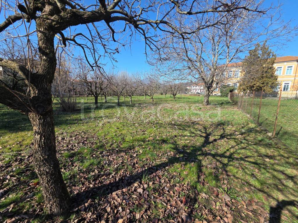 immagine annuncio 6 di 9