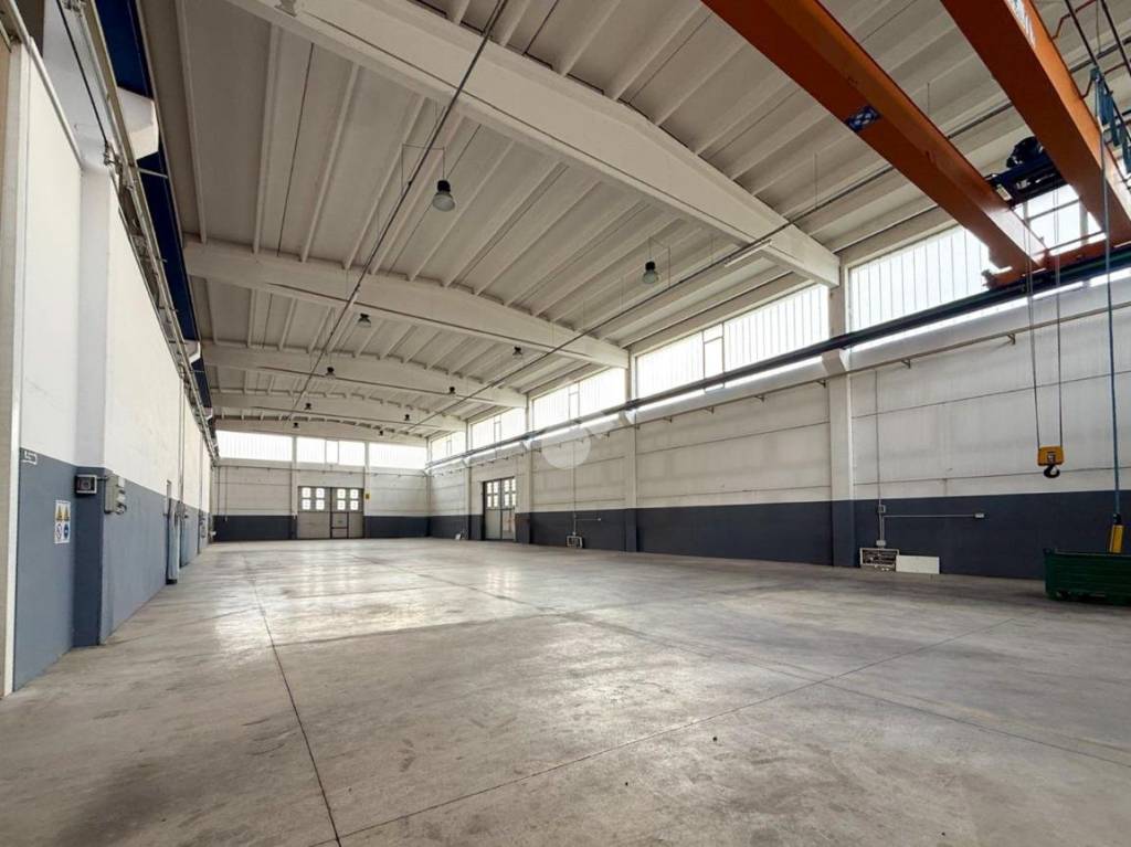 immagine annuncio 8 di 15