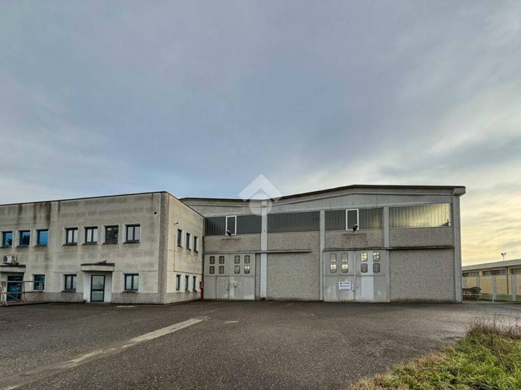 immagine annuncio 11 di 15