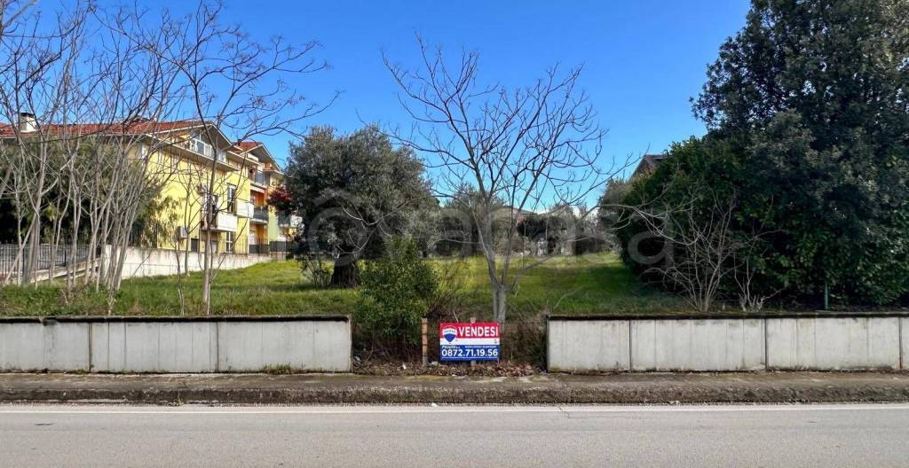 immagine annuncio 5 di 6