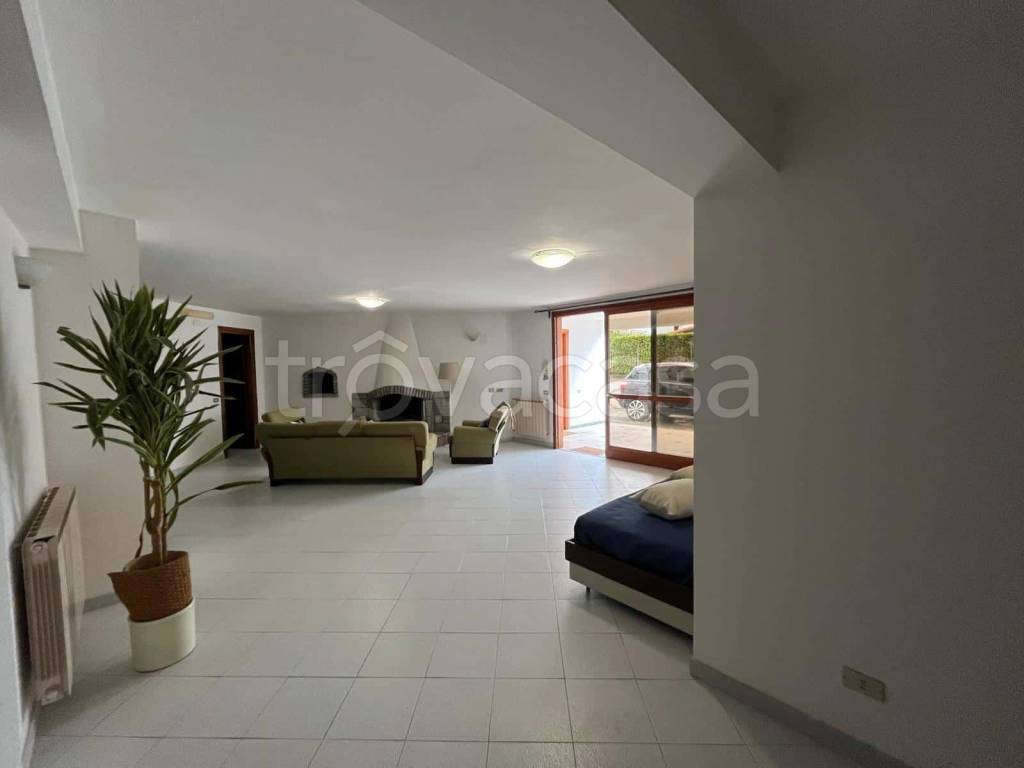 immagine annuncio 9 di 13