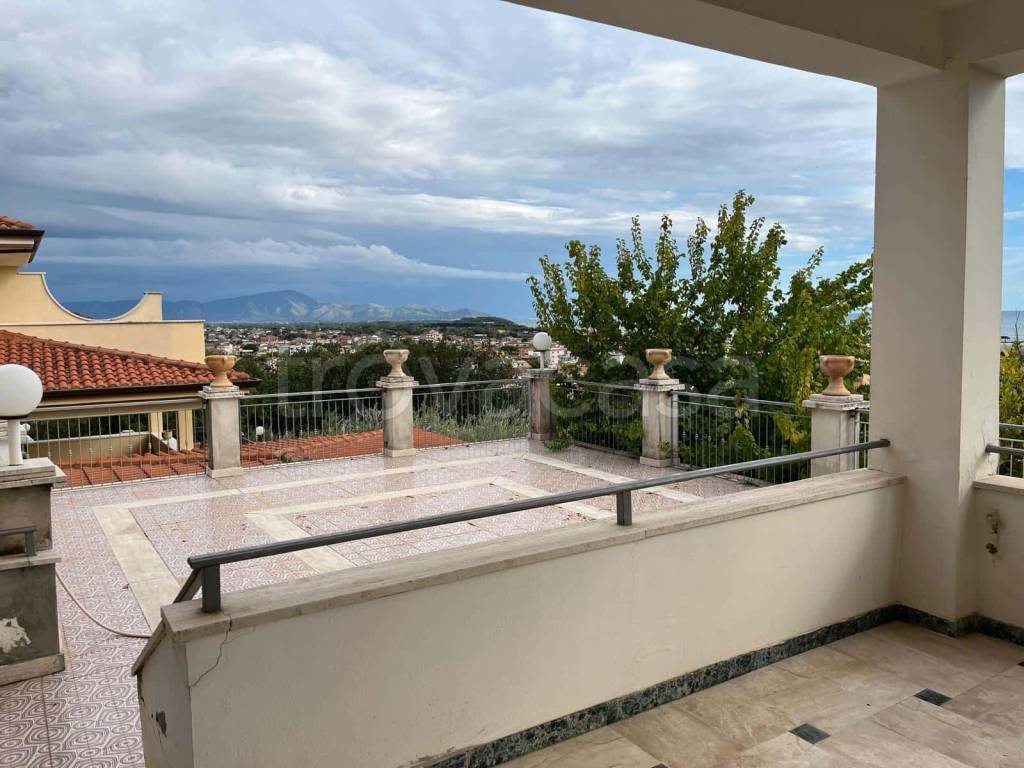 immagine annuncio 11 di 13