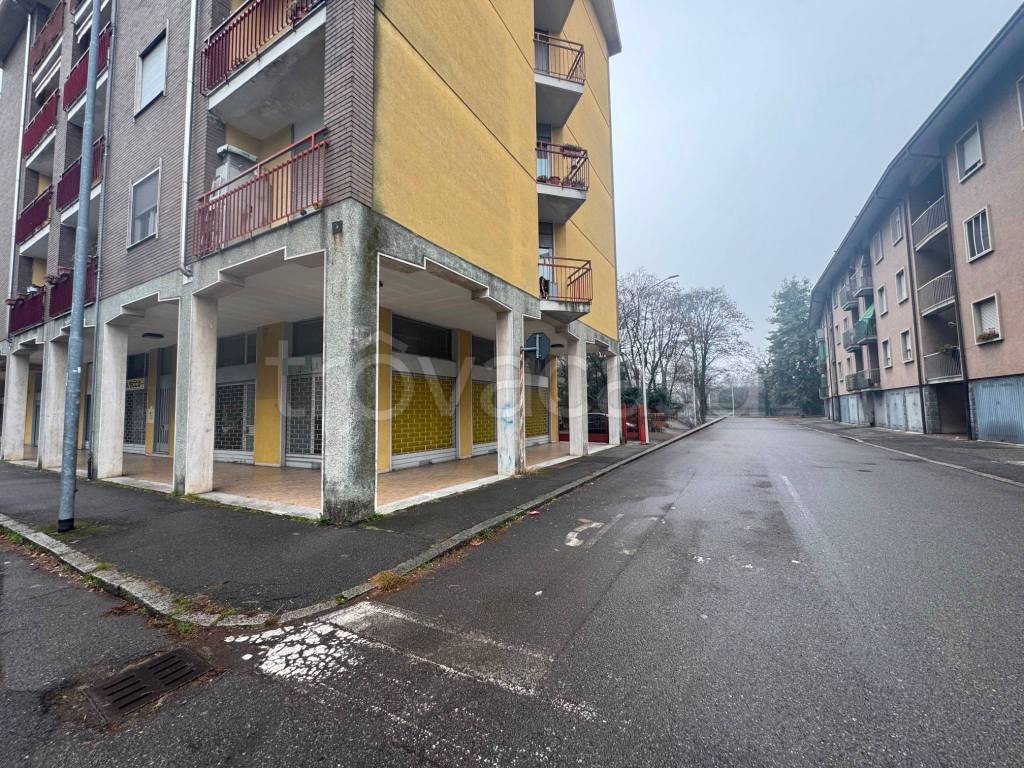 immagine annuncio 5 di 15