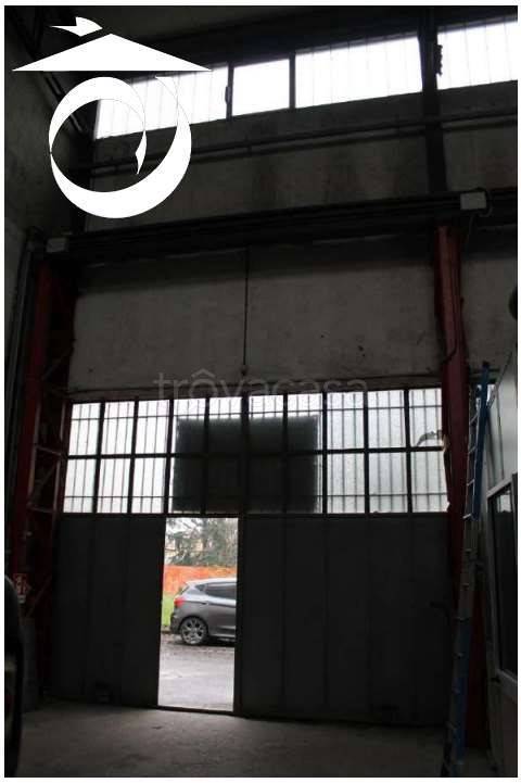 immagine annuncio 1 di 12