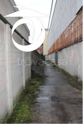 immagine annuncio 2 di 12