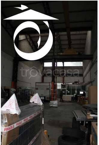 immagine annuncio 7 di 12