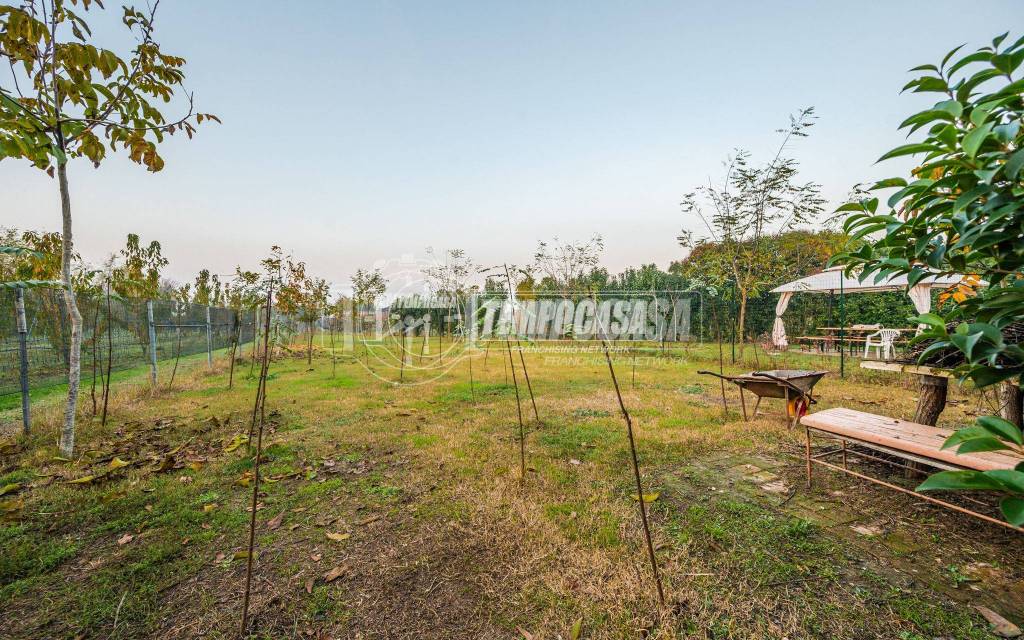 immagine annuncio 8 di 13