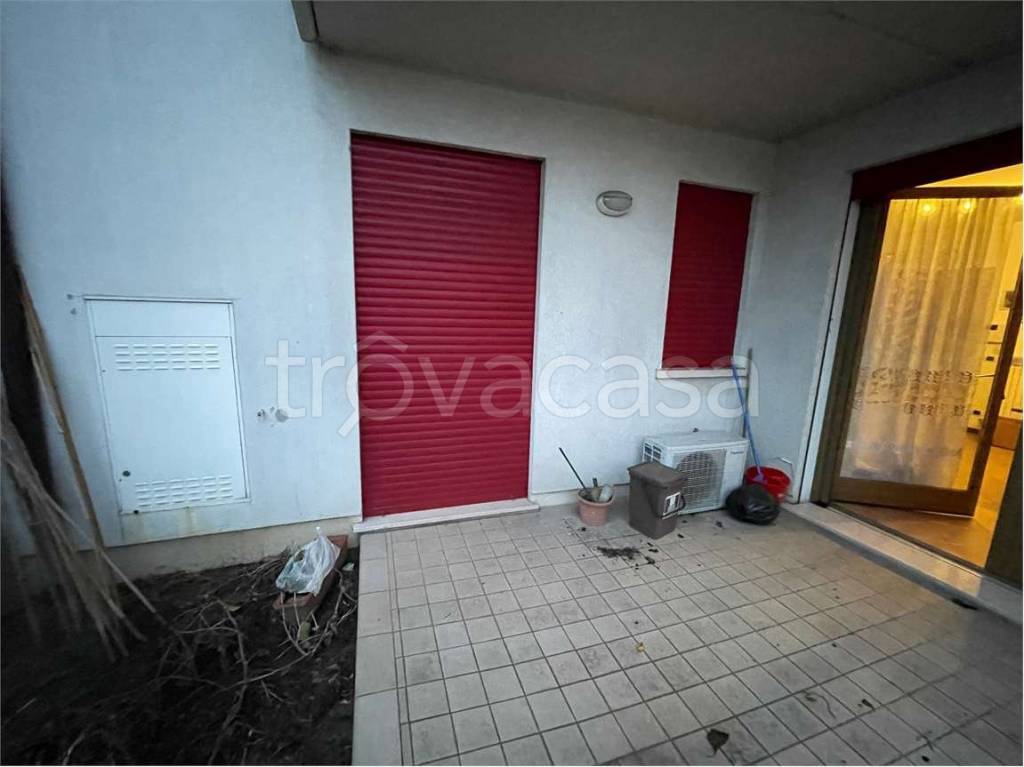 immagine annuncio 12 di 14