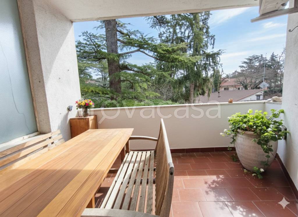 immagine annuncio 2 di 12