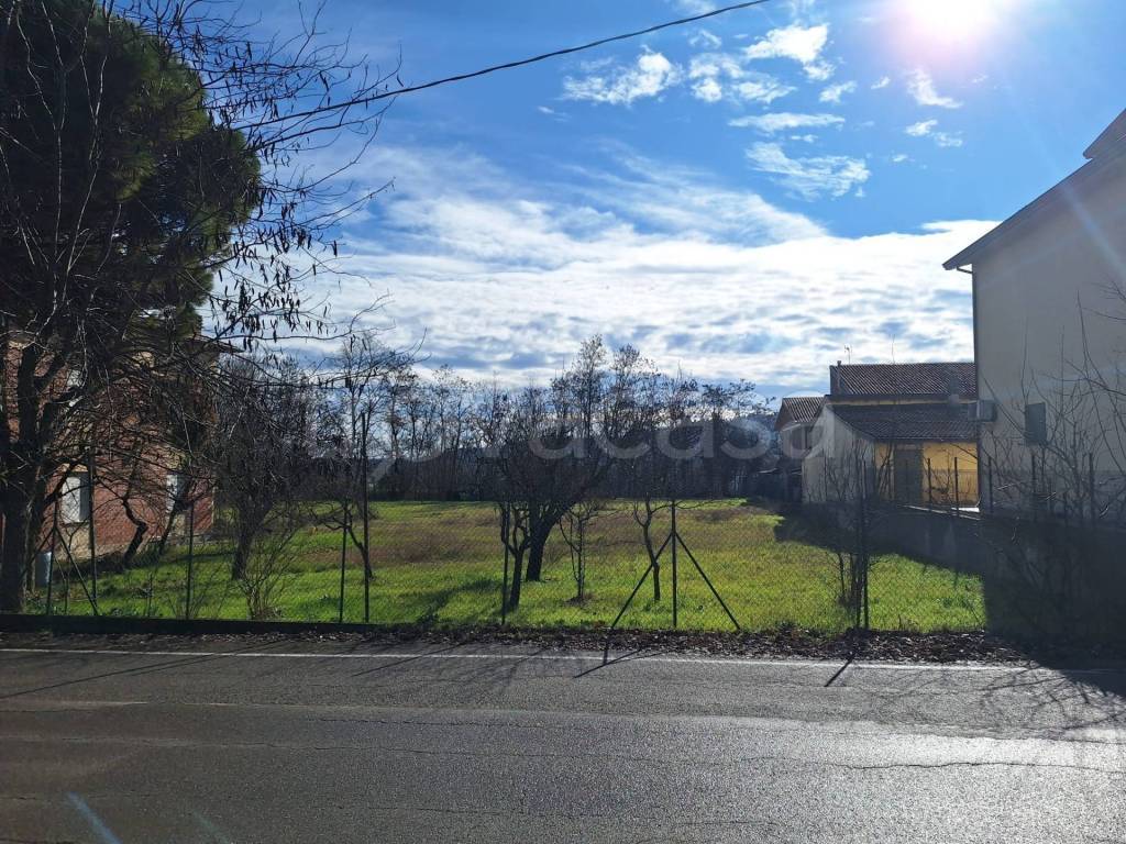 immagine annuncio 2 di 6