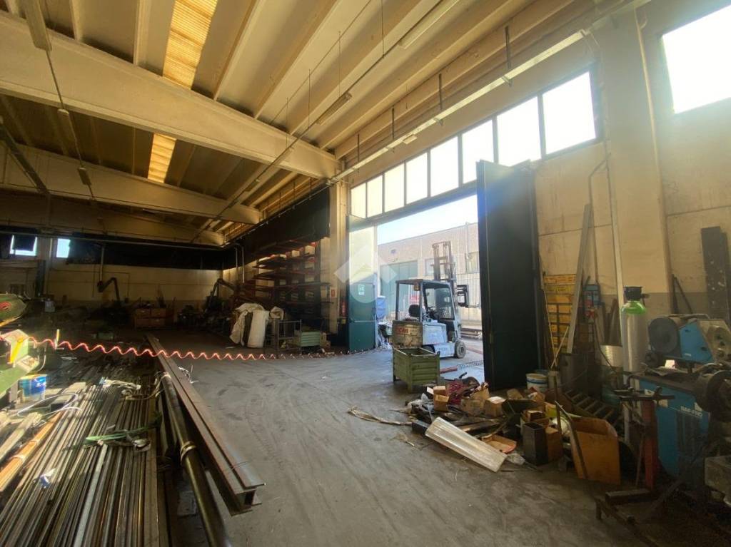 immagine annuncio 2 di 12