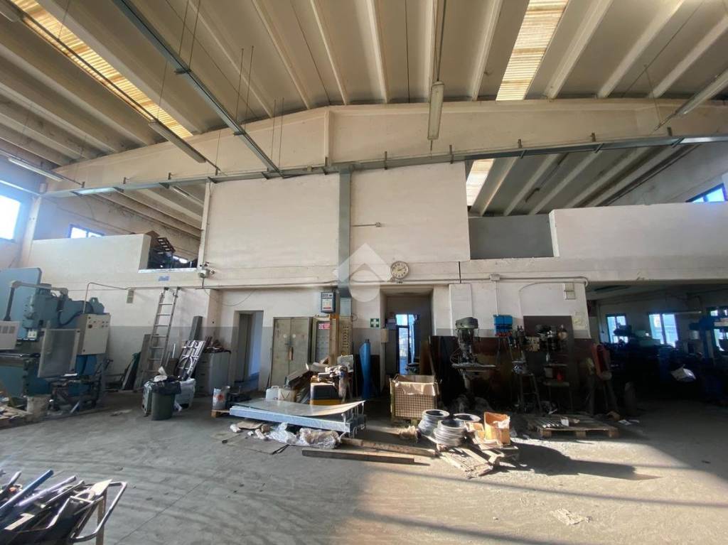 immagine annuncio 3 di 12