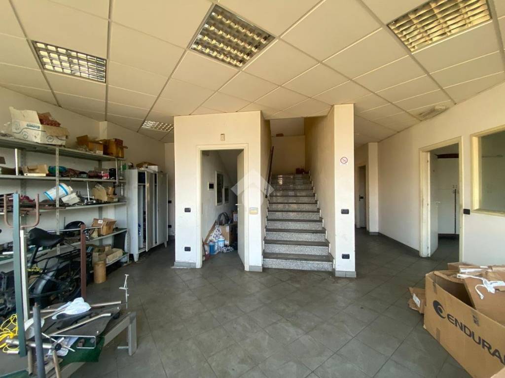 immagine annuncio 8 di 12