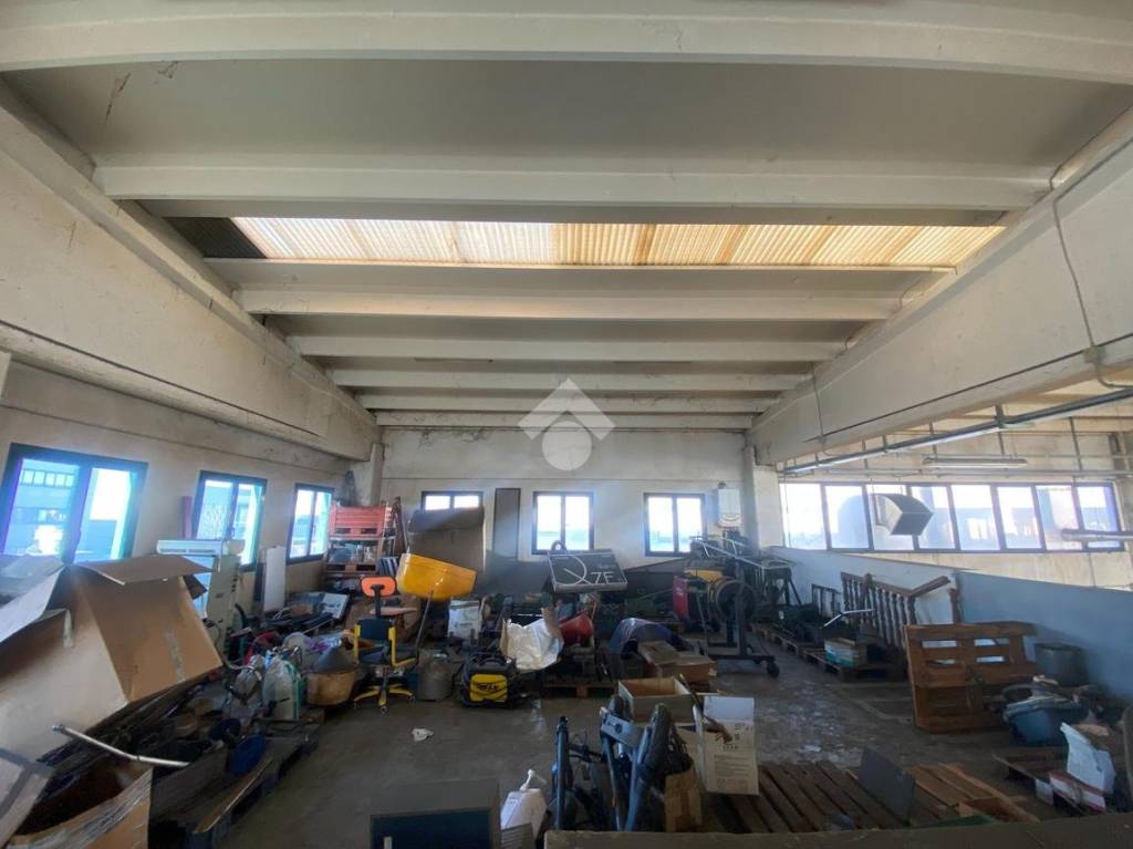 immagine annuncio 10 di 12