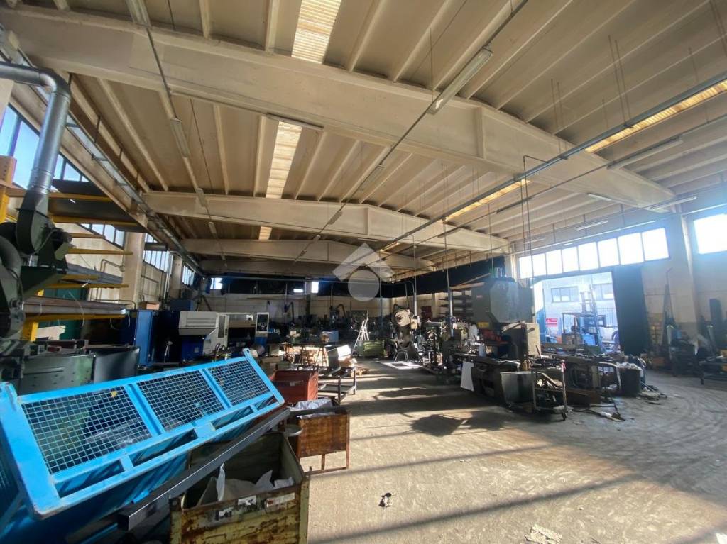 immagine annuncio 11 di 12