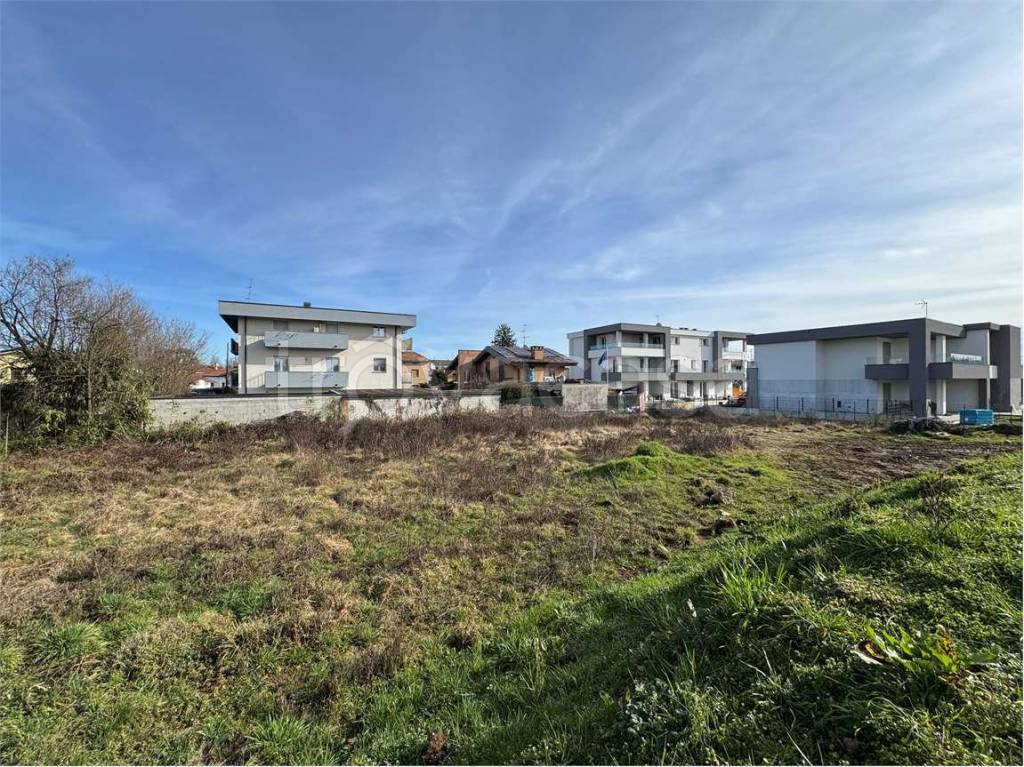 immagine annuncio 2 di 12