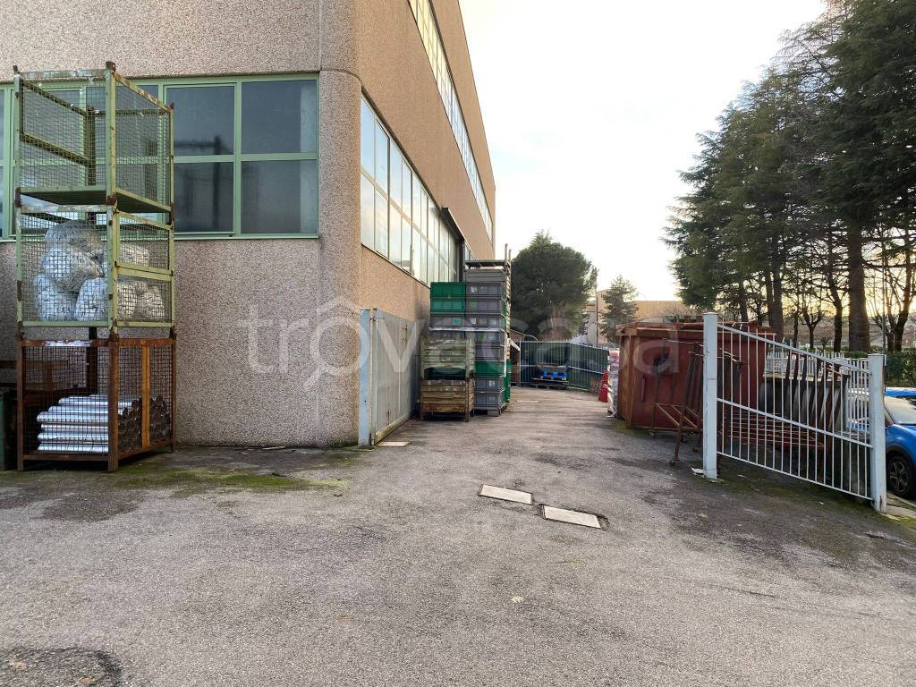 immagine annuncio 4 di 10