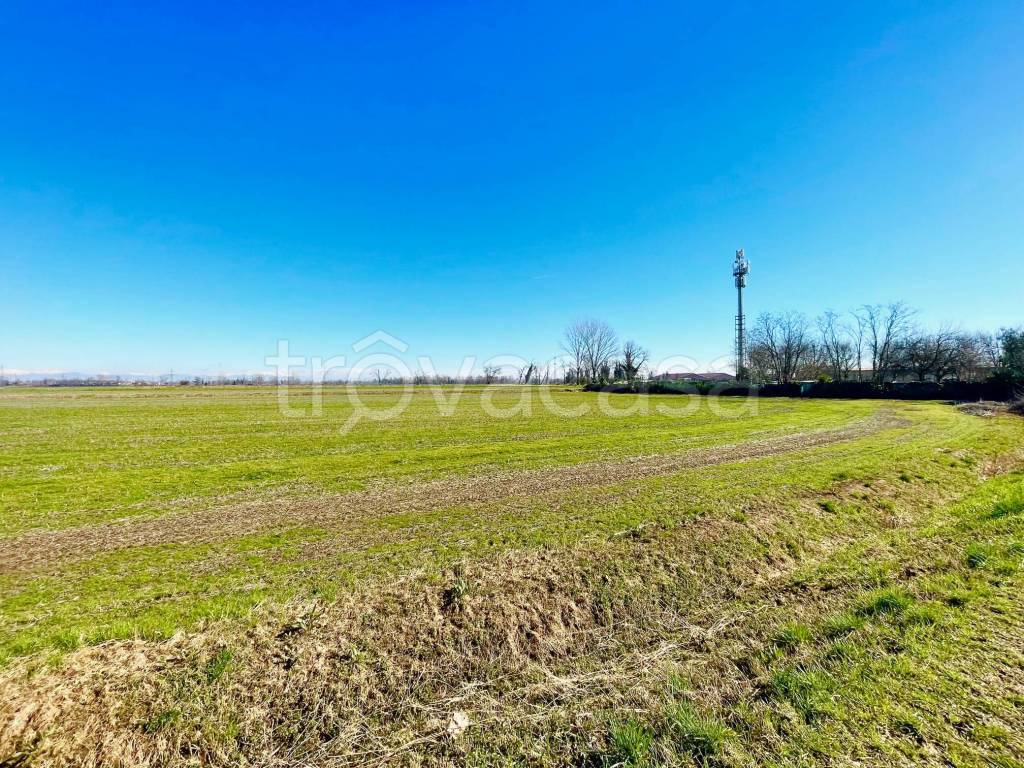 immagine annuncio 4 di 12