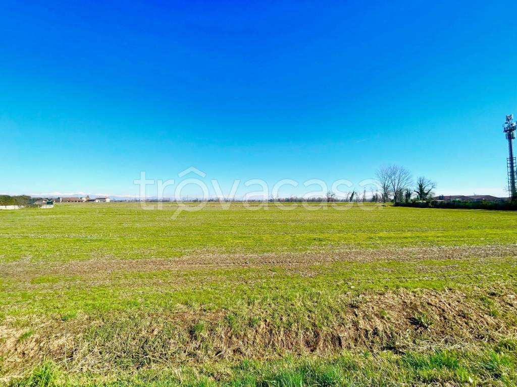 immagine annuncio 5 di 12