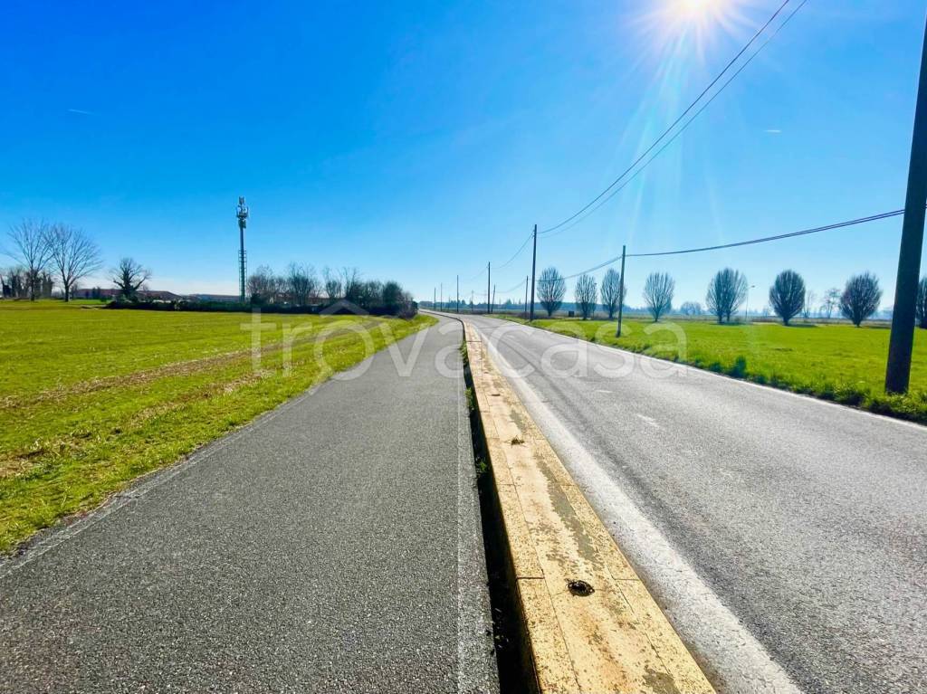 immagine annuncio 6 di 12