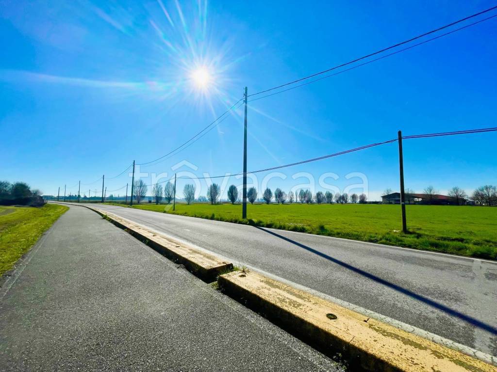 immagine annuncio 8 di 12