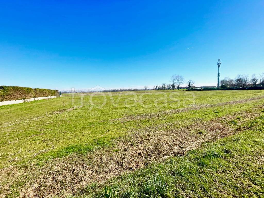 immagine annuncio 9 di 12