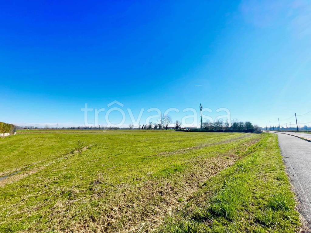 immagine annuncio 10 di 12