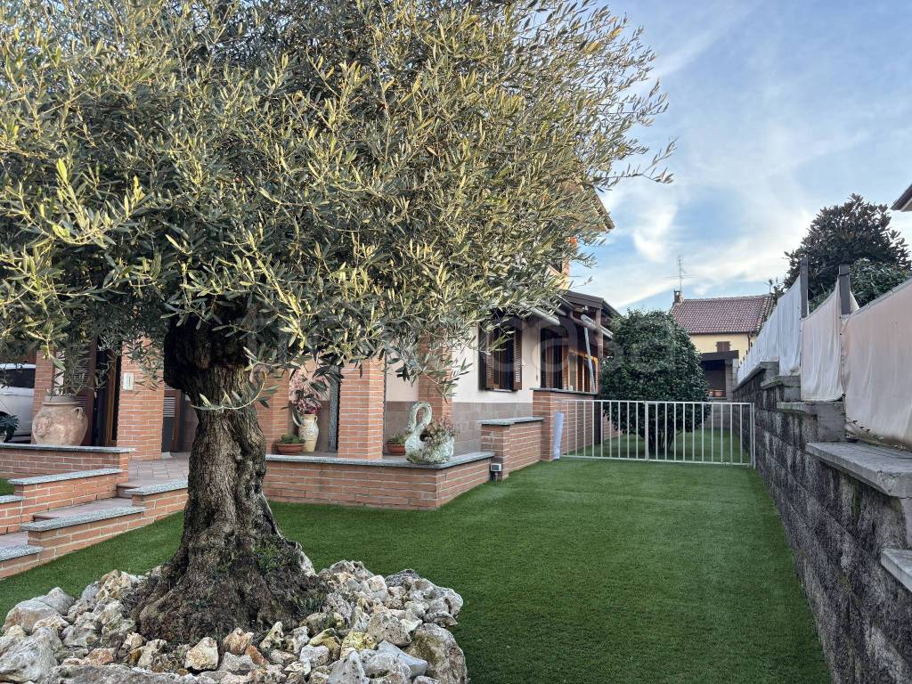 immagine annuncio 9 di 15