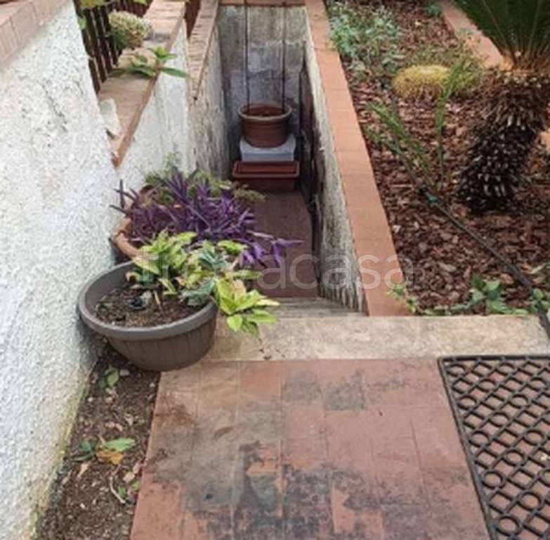 immagine annuncio 5 di 14