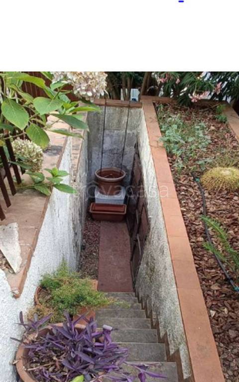 immagine annuncio 12 di 14