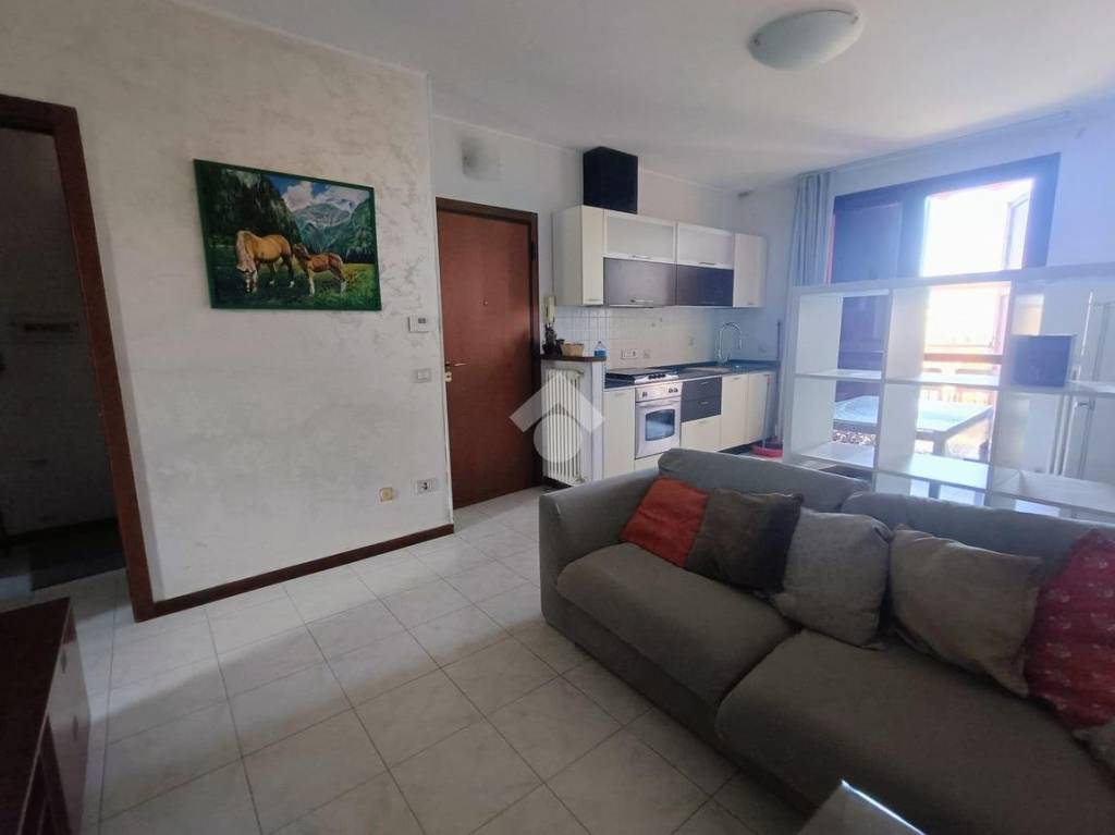 immagine annuncio 8 di 15