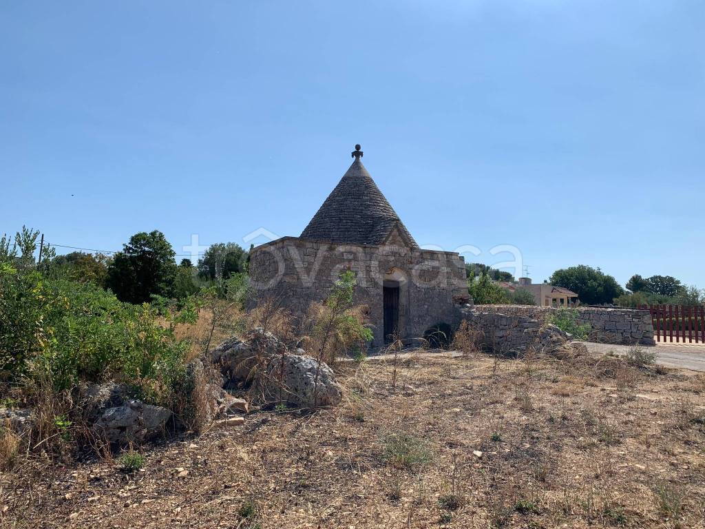 immagine annuncio 10 di 14