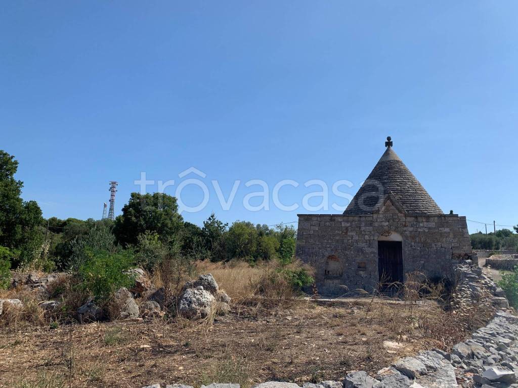 immagine annuncio 11 di 14