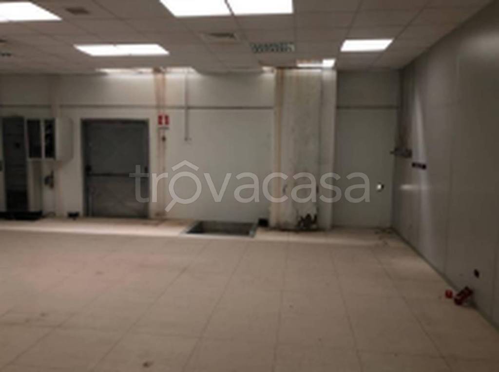 immagine annuncio 9 di 12