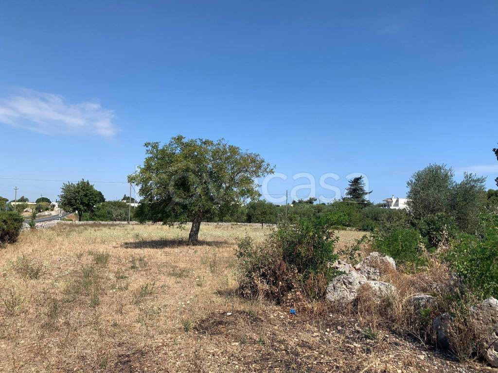 immagine annuncio 12 di 14