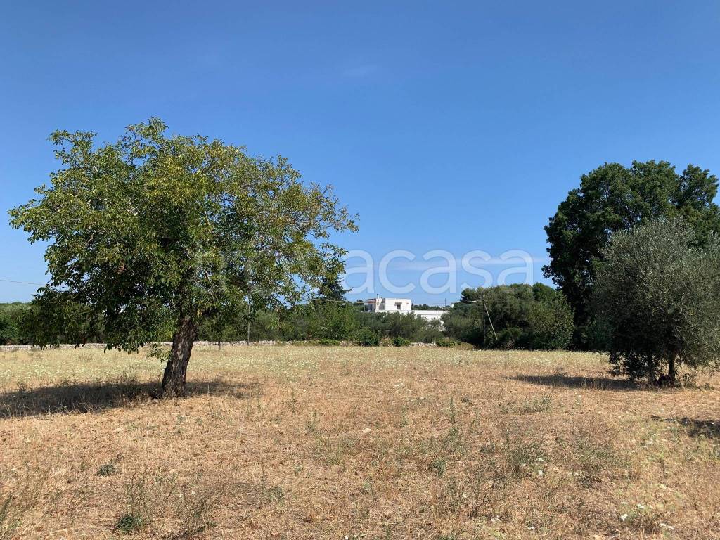 immagine annuncio 13 di 14