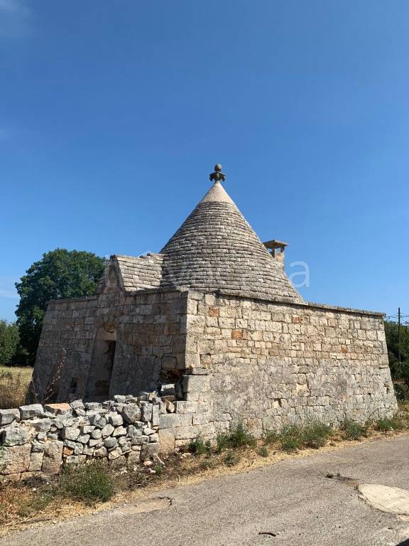 immagine annuncio 3 di 14