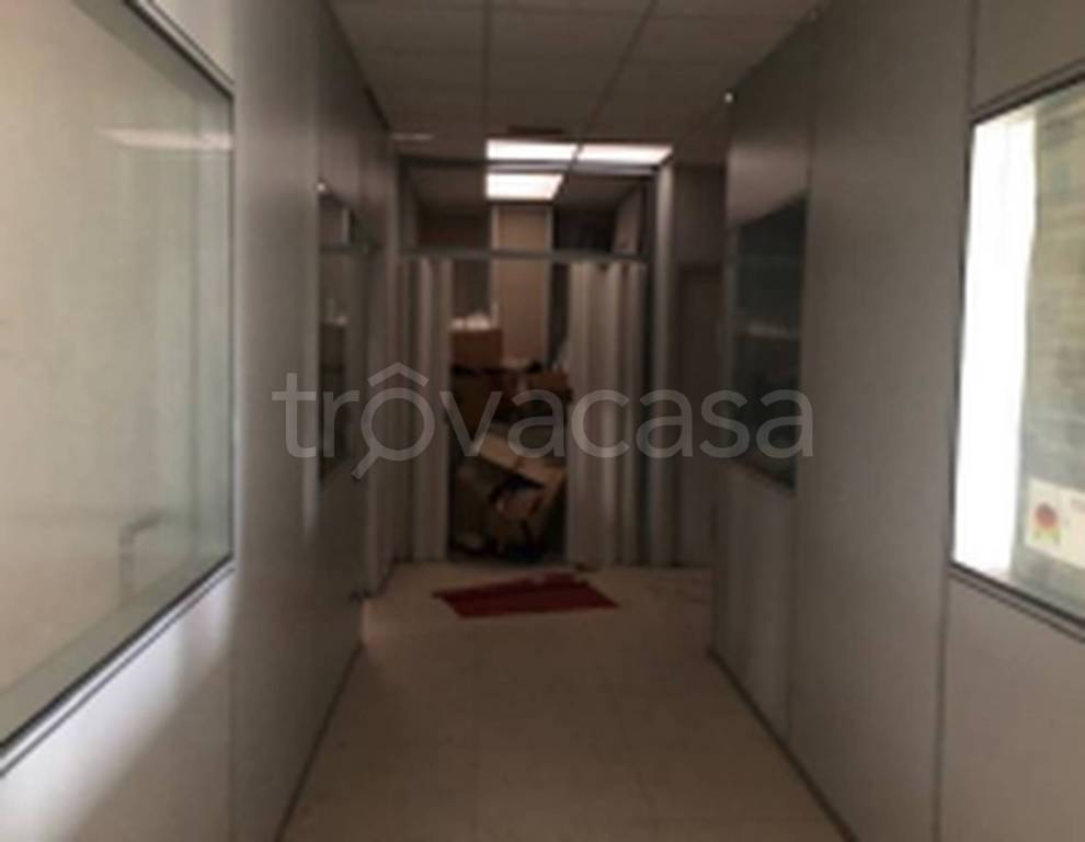 immagine annuncio 10 di 12