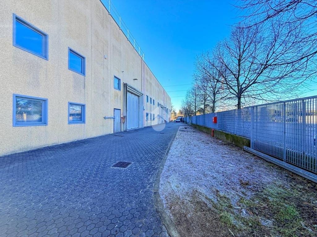 immagine annuncio 1 di 15