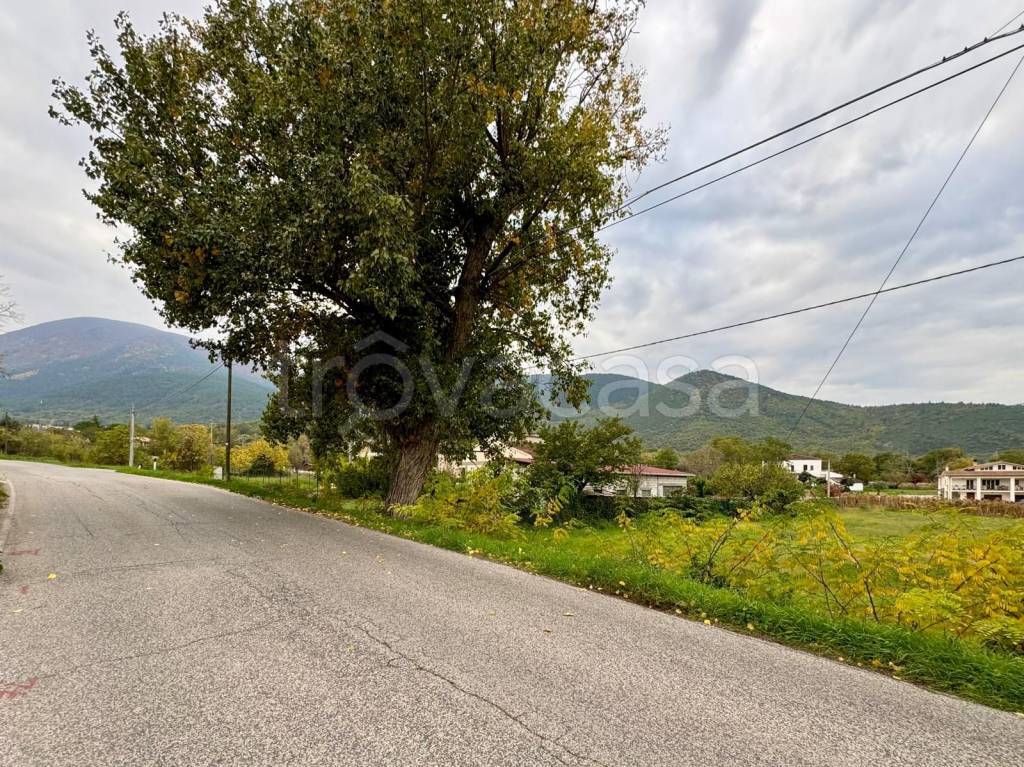 immagine annuncio 5 di 7